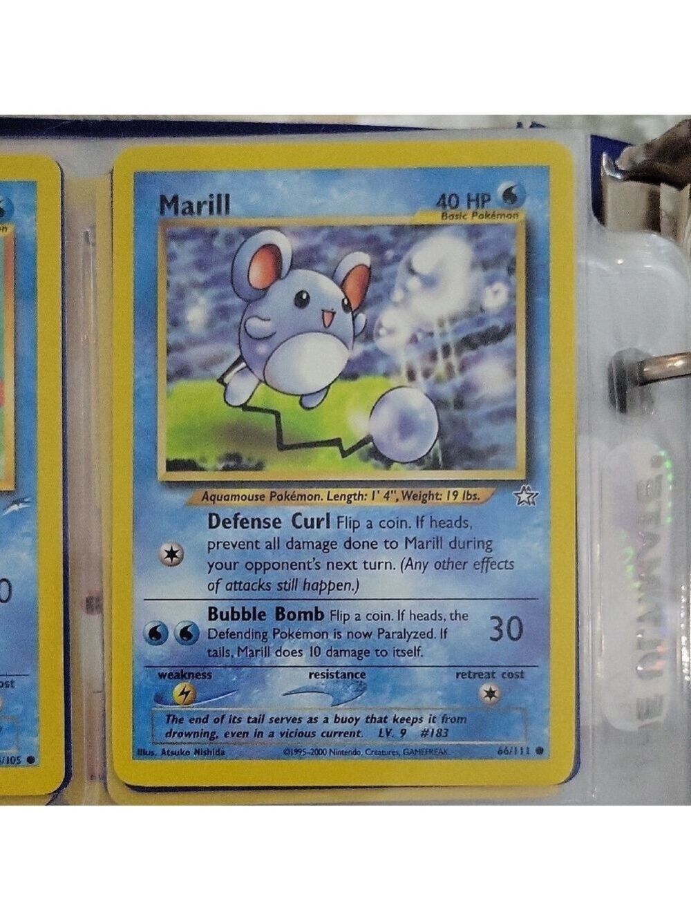 Pokemon Card Madrill